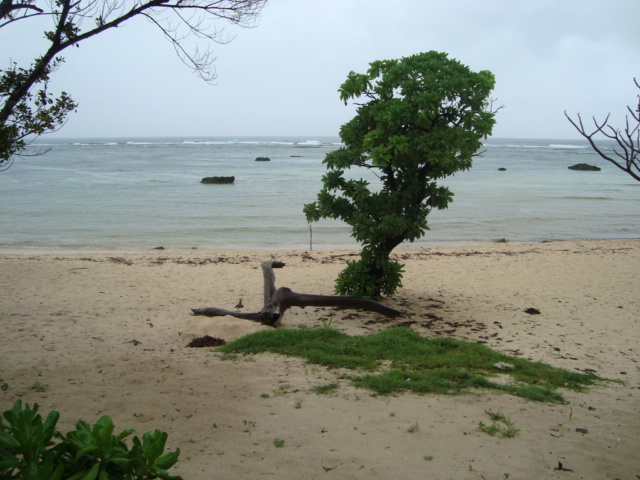 Nangaramoan Beach